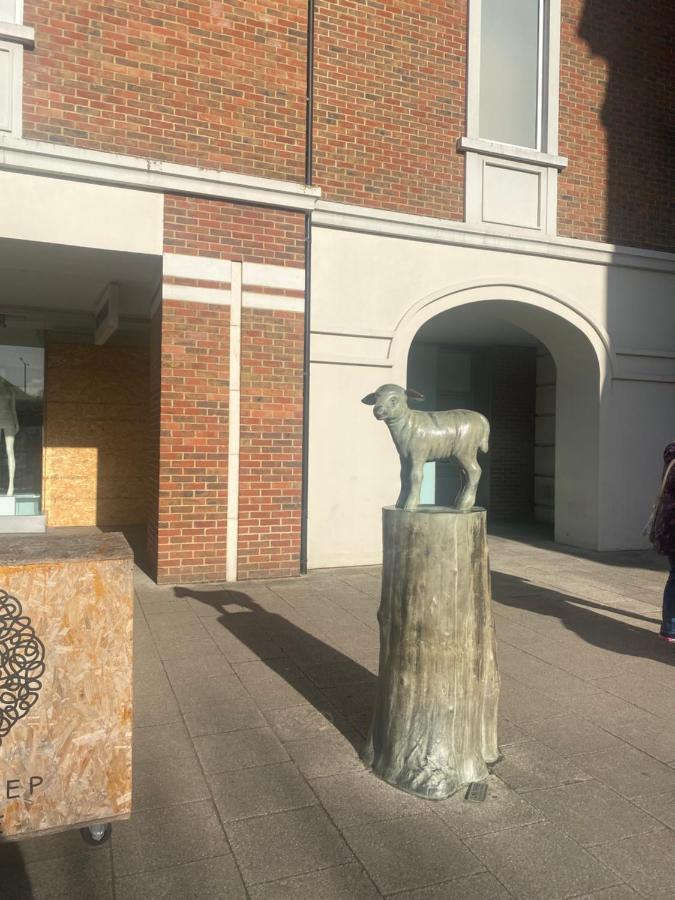 The Most Central Apartment In Canterbury Stunning Interiors, Fully Equipped, City Views And Free Wifi! Eksteriør bilde